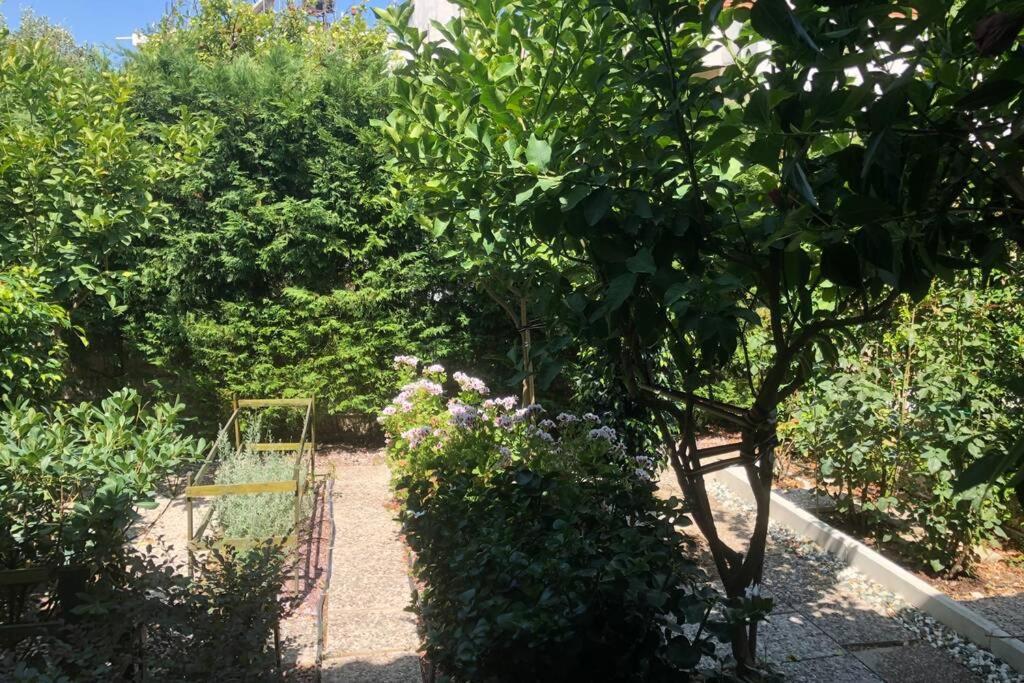 Mesolóngion Ανακαινισμενη Μονοκατοικια 125 Τμ Στο Κεντρο Με Κηπο 빌라 외부 사진